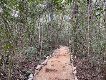 Terrenos en venta rodeados de naturaleza con Museo y Hotel en Valladolid, Yucatán