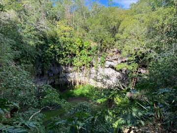 Terrenos en venta rodeados de naturaleza con Museo y Hotel en Valladolid, Yucatán