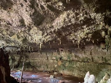 Terrenos en venta rodeados de naturaleza con Museo y Hotel en Valladolid, Yucatán