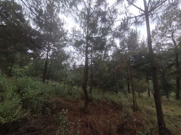 TERRENO EN VENTA LOS AZUFRES