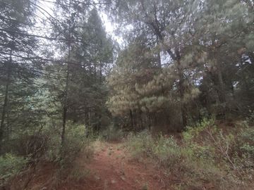 TERRENO EN VENTA LOS AZUFRES
