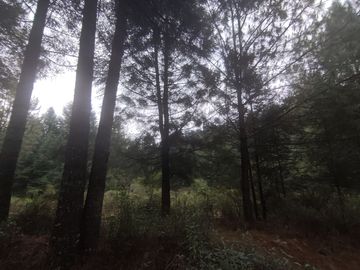 TERRENO EN VENTA LOS AZUFRES