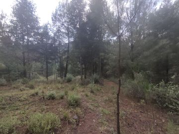 TERRENO EN VENTA LOS AZUFRES