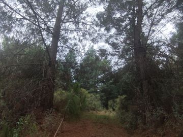 TERRENO EN VENTA LOS AZUFRES