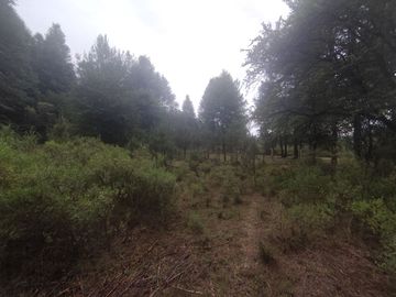 TERRENO EN VENTA LOS AZUFRES