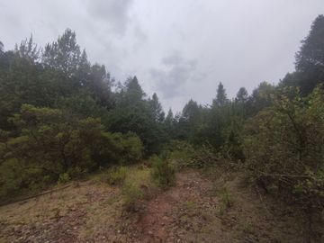 TERRENO EN VENTA LOS AZUFRES
