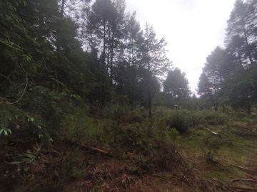 TERRENO EN VENTA LOS AZUFRES