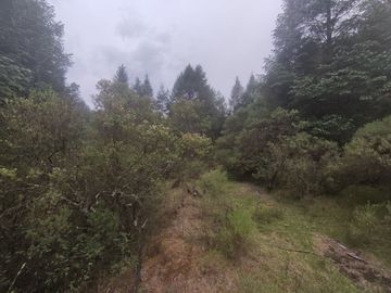 TERRENO EN VENTA LOS AZUFRES