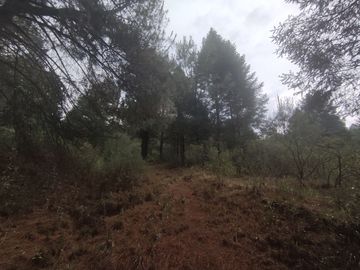 TERRENO EN VENTA LOS AZUFRES