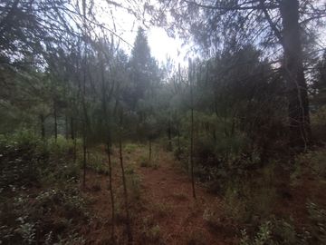 TERRENO EN VENTA LOS AZUFRES