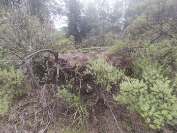 TERRENO EN VENTA LOS AZUFRES