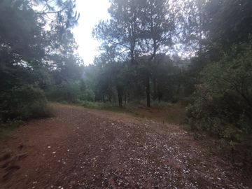TERRENO EN VENTA LOS AZUFRES