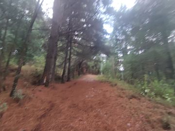 TERRENO EN VENTA LOS AZUFRES