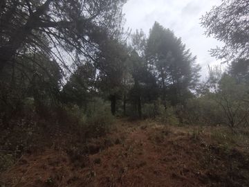 TERRENO EN VENTA LOS AZUFRES
