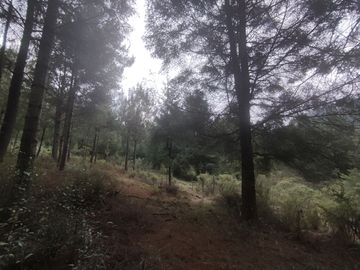TERRENO EN VENTA LOS AZUFRES