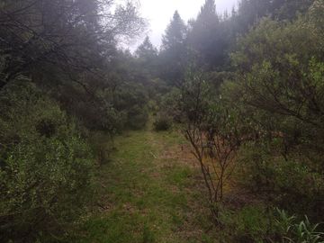 TERRENO EN VENTA LOS AZUFRES