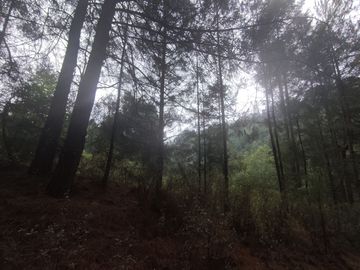 TERRENO EN VENTA LOS AZUFRES