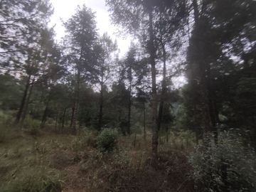 TERRENO EN VENTA LOS AZUFRES