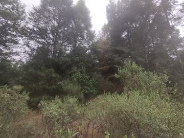 TERRENO EN VENTA LOS AZUFRES