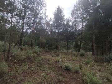 TERRENO EN VENTA LOS AZUFRES