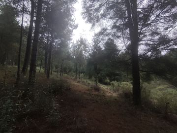 TERRENO EN VENTA LOS AZUFRES