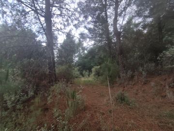TERRENO EN VENTA LOS AZUFRES