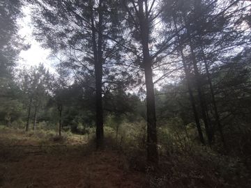 TERRENO EN VENTA LOS AZUFRES