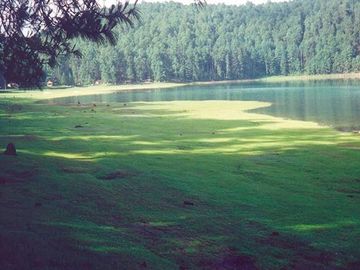 TERRENO EN VENTA LOS AZUFRES