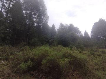 TERRENO EN VENTA LOS AZUFRES