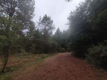 TERRENO EN VENTA LOS AZUFRES