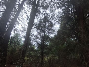 TERRENO EN VENTA LOS AZUFRES