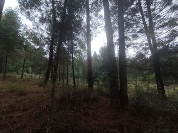 TERRENO EN VENTA LOS AZUFRES