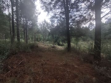 TERRENO EN VENTA LOS AZUFRES