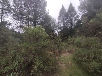 TERRENO EN VENTA LOS AZUFRES