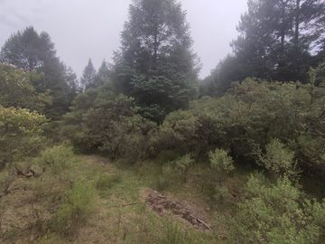 TERRENO EN VENTA LOS AZUFRES
