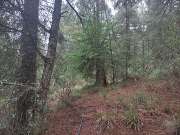 TERRENO EN VENTA LOS AZUFRES