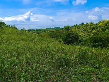 Agricultural Lot For Sale in Sogod, Cebu
