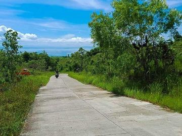 Agricultural Lot For Sale in Sogod, Cebu