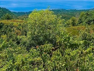 Agricultural Lot For Sale in Sogod, Cebu