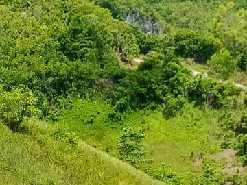 Agricultural Lot For Sale in Sogod, Cebu