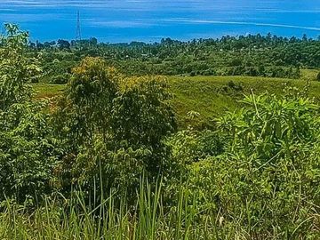 Agricultural Lot For Sale in Sogod, Cebu