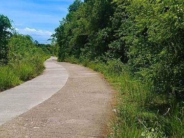 Agricultural Lot For Sale in Sogod, Cebu