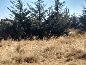 TERRENO EN VENTA SAN PEDRO TEJALPA ZINACANTEPEC