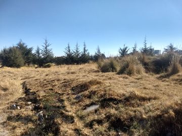 TERRENO EN VENTA SAN PEDRO TEJALPA ZINACANTEPEC
