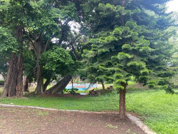 VENDO CASA COMO TERRENO EN CUERNAVACA, GRAN UBICACIÓN, ZONA FRESCA.