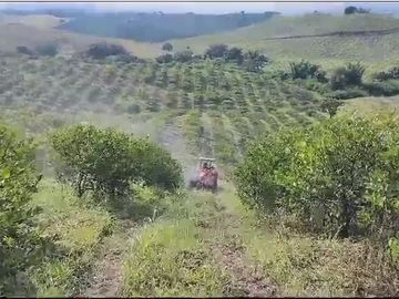 Venta de terreno 100% Limon y Naranja, en Nautla, Veracruz