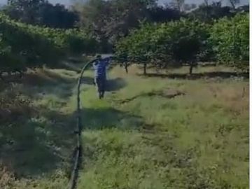 Venta de terreno 100% Limon y Naranja, en Nautla, Veracruz