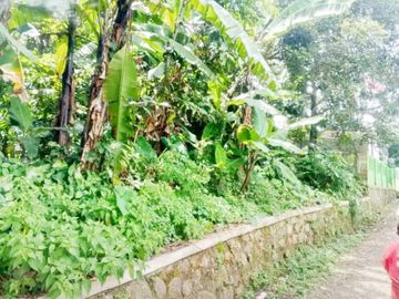 Jual Tanah 3.270 m2 di Karoncong Pandeglang Banten Dekat Kantor Desa Setrajaya