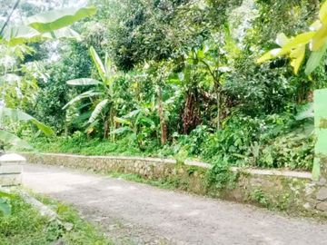 Jual Tanah 3.270 m2 di Karoncong Pandeglang Banten Dekat Kantor Desa Setrajaya