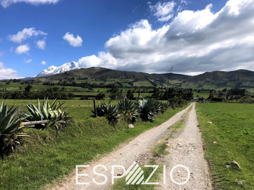 TERRENO EN VENTA SECTOR PESILLO, CAYAMBE